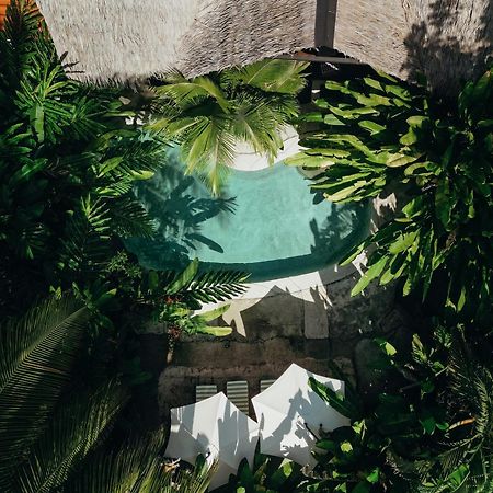 Conga Boutique Hotel Puerto Viejo de Talamanca Экстерьер фото
