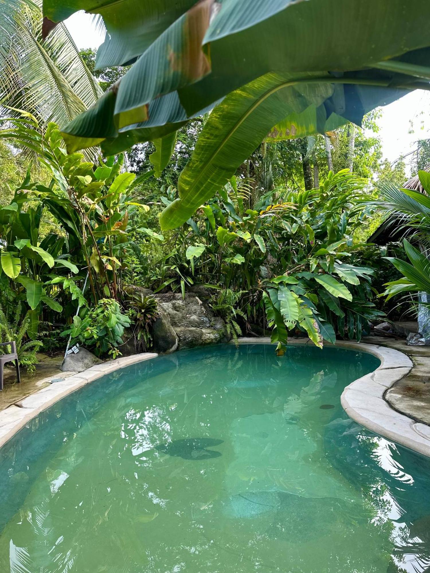 Conga Boutique Hotel Puerto Viejo de Talamanca Экстерьер фото