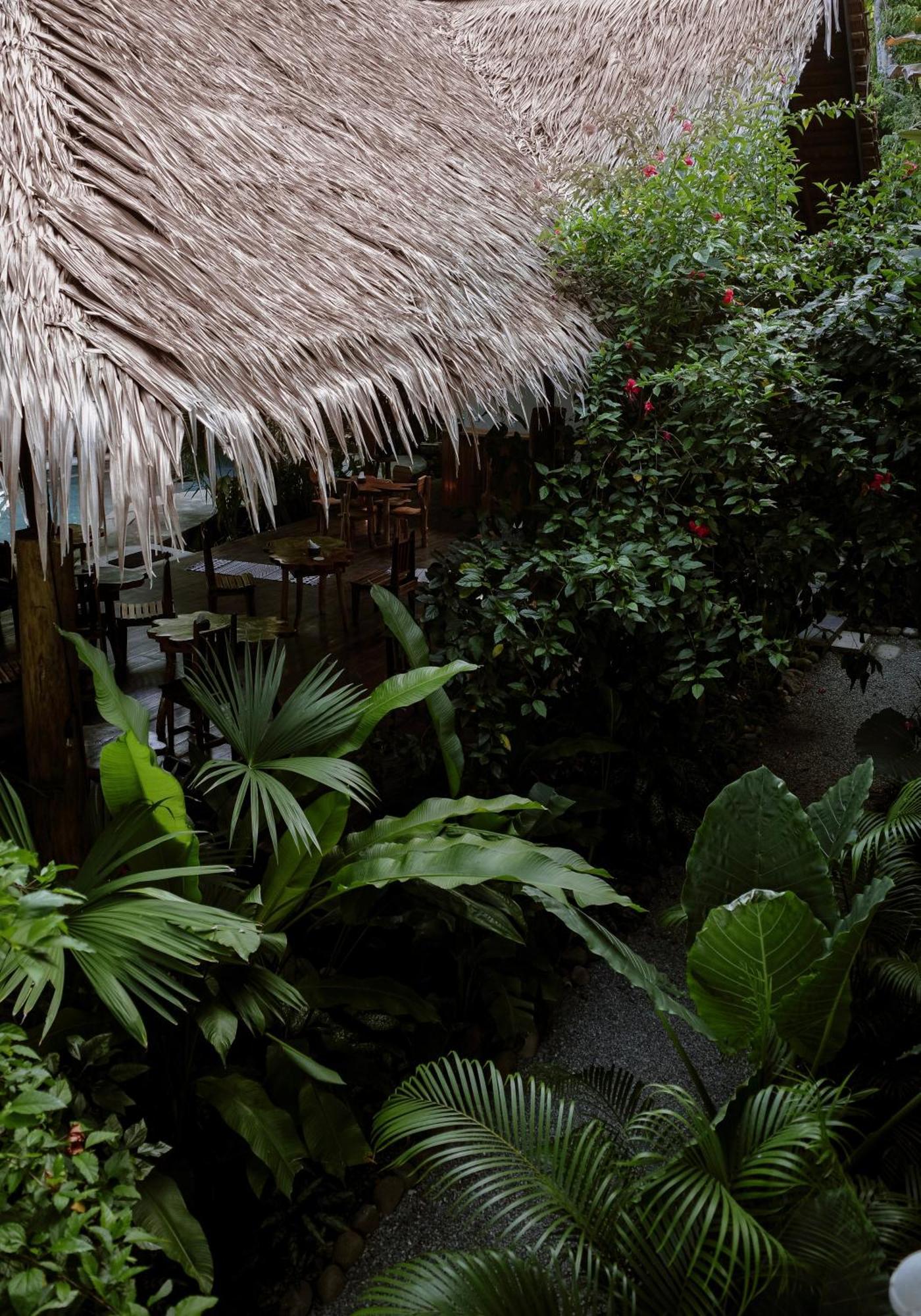 Conga Boutique Hotel Puerto Viejo de Talamanca Экстерьер фото