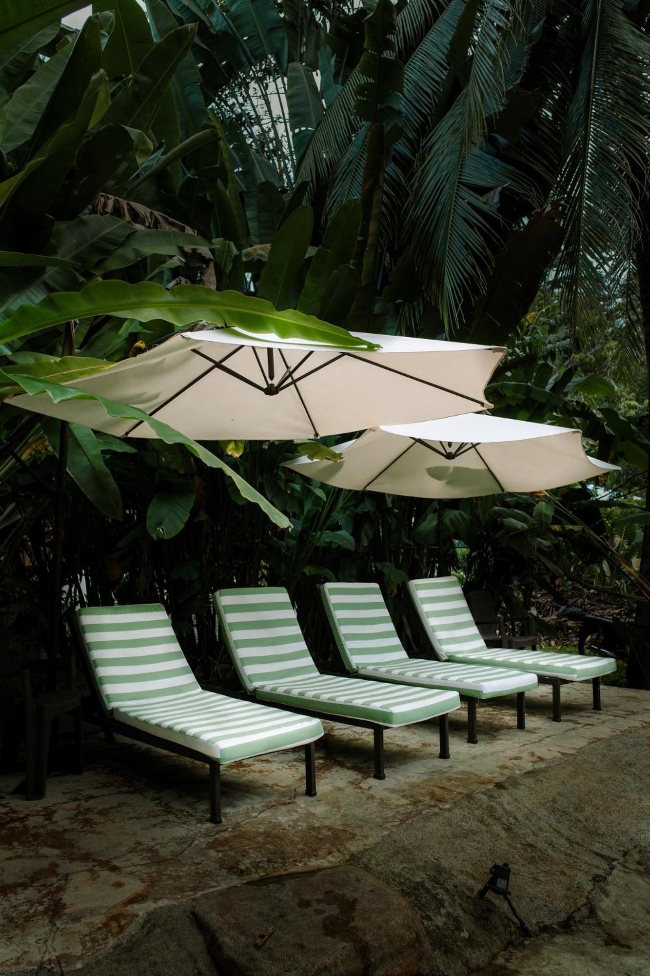Conga Boutique Hotel Puerto Viejo de Talamanca Экстерьер фото