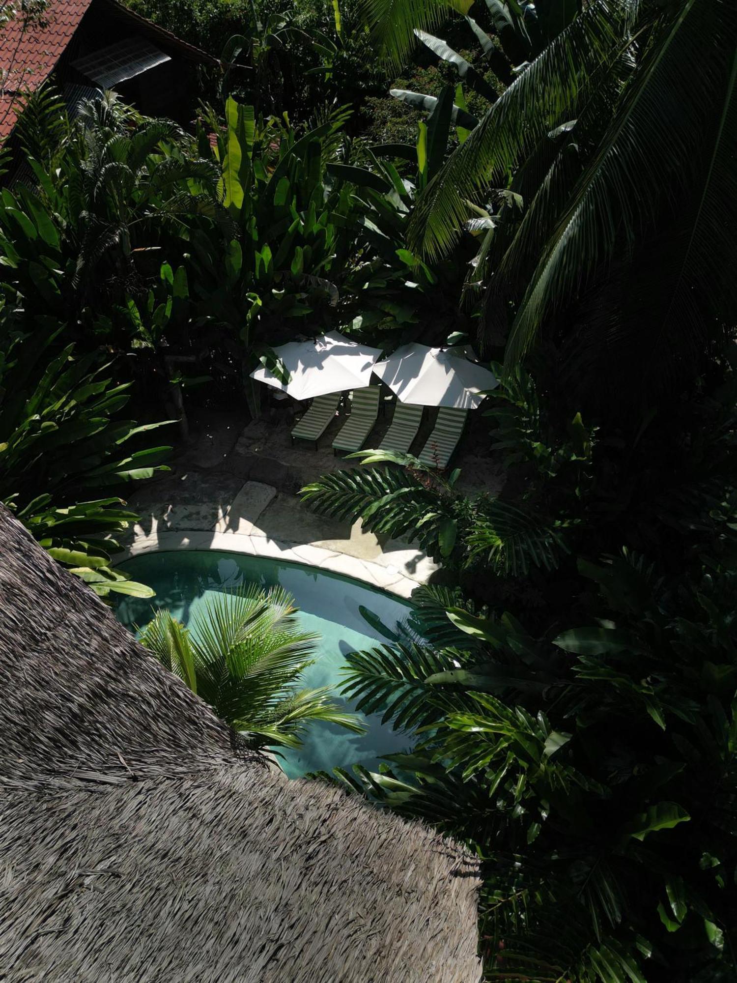 Conga Boutique Hotel Puerto Viejo de Talamanca Экстерьер фото
